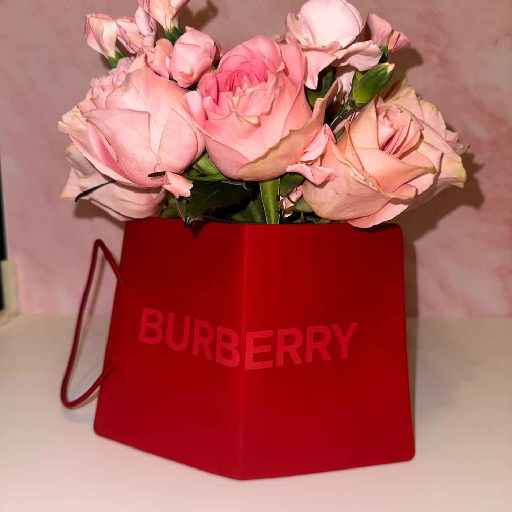 Burberry Red Passport holder